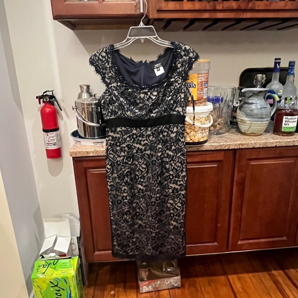 Tadashi Blue lace dress size 6P